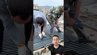 Çatı kaplama malzemesi! #fikirolsun