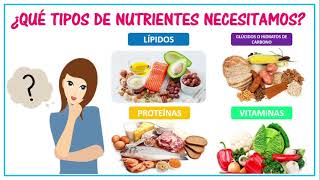 FOOD - CLASSIFICATION AND COMPONENTS.