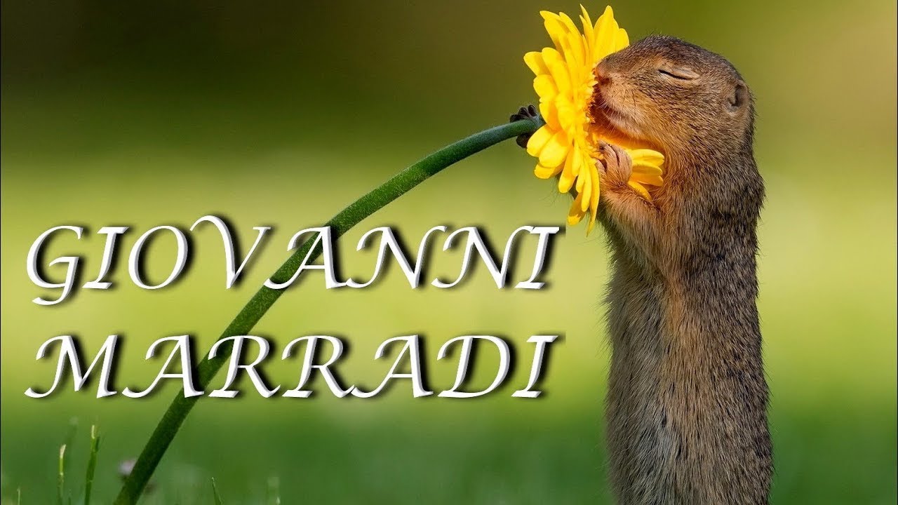 ♫ Giovanni Marradi -  Collection ♫ (Beautiful flowers)