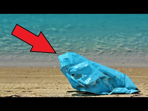 Парень нашёл пакет на пляже! Заглянув внутрь, он оторопел от того что там увидел!