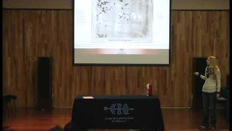 Seminar: Terahertz Time-domain Imaging for the inspection of different artefacts categories