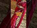bok 🆕 8677987591 Whatsapp | jimmy choo | bandhani saree | brasso saree #saree #brassosaree