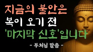 불안이 깊어질수록, 복은 더 가까이 다가옵니다 | 부처님 말씀 | 부처님 법문 | 삶의 지혜 | 노년의 삶