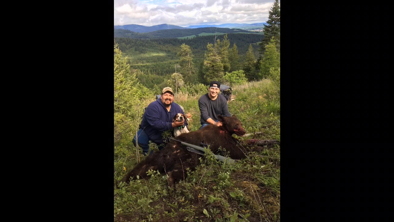 North Idaho spring bear hunting YouTube