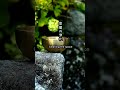 【30秒瞑想】浄化ヒーリング「空間の浄化」おりん【Japanese zen music】tibetan singing bowl "Cleaning the space"