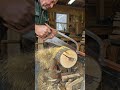Watch this giant log fall 💥🌲