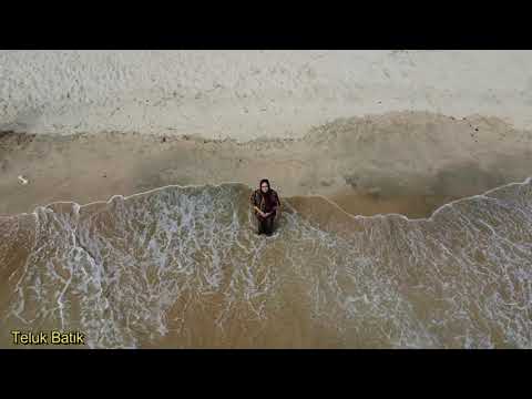 Video: Adakah pantai pantai teluk mesra anjing?