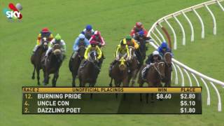 Belmont Park 20170705 Race 2