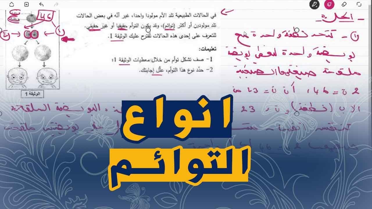 علوم طبيعية السنة الرابعة متوسط تمرين على التوائم