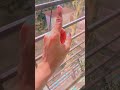 Subscaribe plz 😭#foryou #handdance #vairalshort