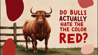 Minute Myth Busters - Do Bulls Really Hate the Colour Red?