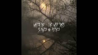 Winter aid - the wisp sings instrumental (slowed \u0026 pitched)