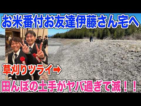 【米作り】兼業お米農家仲間の伊藤さんの田んぼ視察！草刈りが辛すぎる田んぼ 米作り奮闘記#654