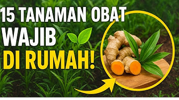 15 Tanaman Obat Wajib di Pekarangan Rumah | Mudah Ditanam dan Banyak Manfaat