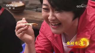 《生财有道》 20230614 有一种味道叫荔波酸| 财经风云