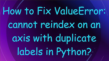 How to Fix ValueError: cannot reindex on an axis with duplicate labels in Python?