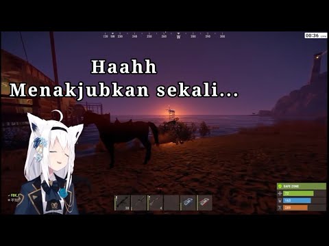 Fubuki Meleleh dalam sunset [Shirakami Fubuki][Hololive-JP][SUB JP-ID]
