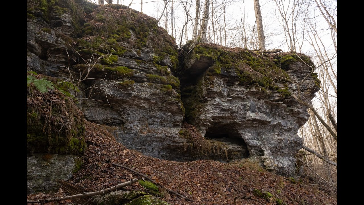 North Country Trail: Exploring Maple Hill