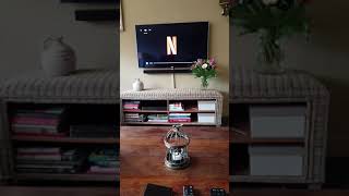 Netflix Original Logo 2020