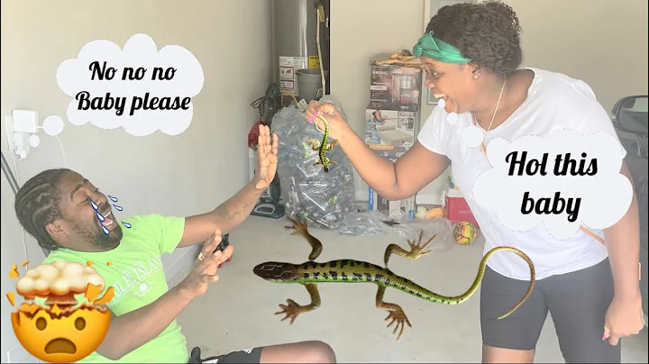 Theres a lizard  in our home  **look what dwayne d...
