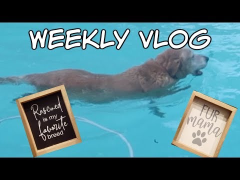 weekly-vlog-|-jewlybox-|-shopping-at-kirklands-|-sneaky-pup!