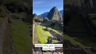 Why should you visit Peru? #peru #machupicchu #rainbowmountain #alpaca