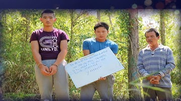 Khởi tố, bắt tạm giam 6 đối tượng hủy hoại rừng thông ở Lâm Đồng