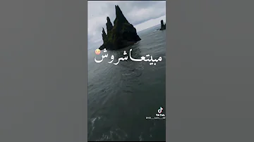 واحنا بناكل بيتزا حاف علي العشا 