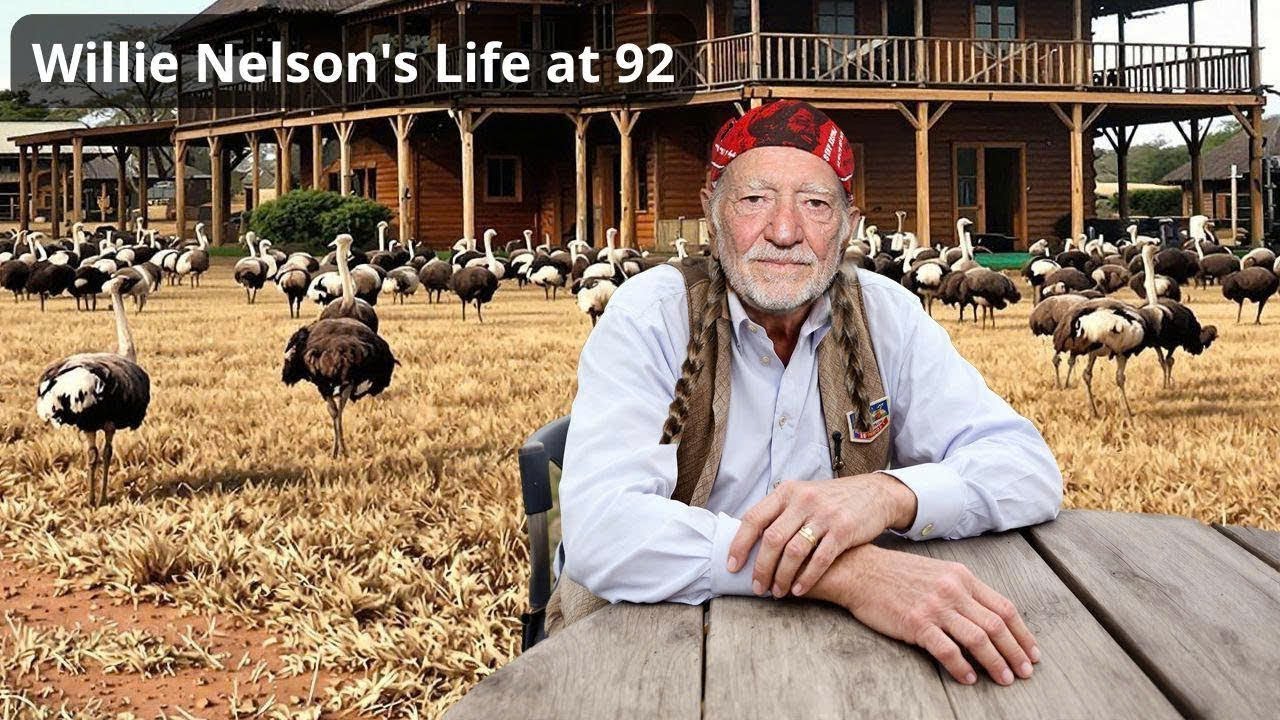 Willie Nelson’s Luck Ranch – Outlaw Country, Horses, and the Spirit of ...