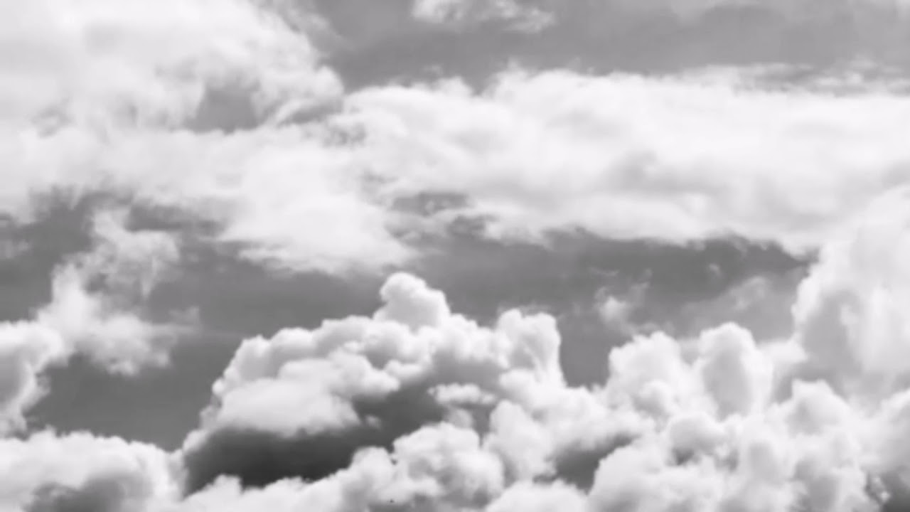 Картинка к песне белые панамки