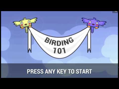 Birding 101