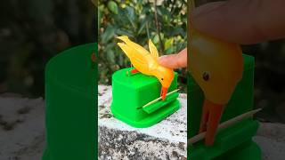🐦⚡ Bird Food Stick Magic Feeding Moment!(JC-4511)#viral#birds