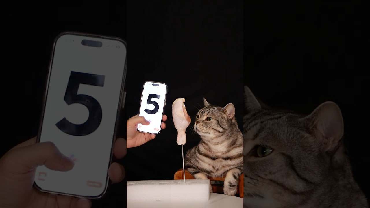 Random bite with my cat momo