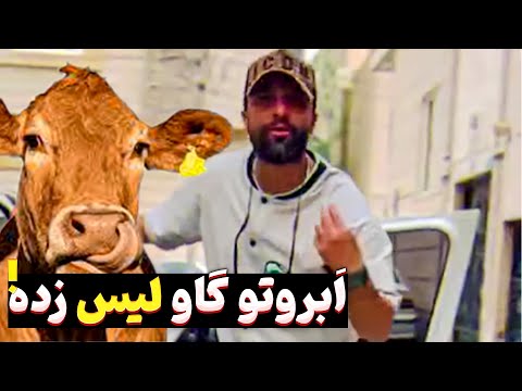 راز خوشحالی : مقایسه نکردن 😘 به فضای مجازی اعتماد نکنید