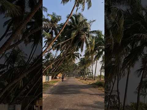 Reunion Arya Stays, #udupi