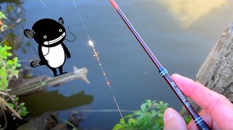 タナゴ釣り Youtube