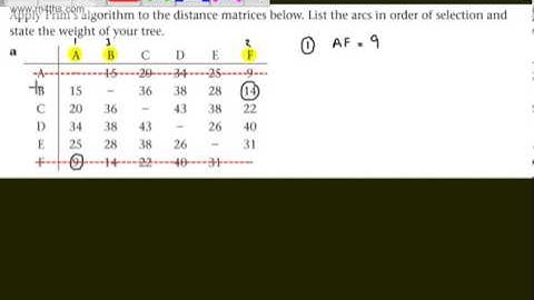 Decision 1 (D1) - Prim
