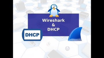 Captura y análisis de tráfico DHCP en una máquina Linux