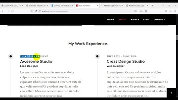 17  Custom Query Loop and CPT