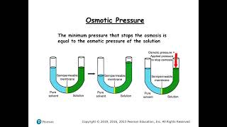 Osmosis Membrane Transport Tonicity Made Easy Biology Simplified