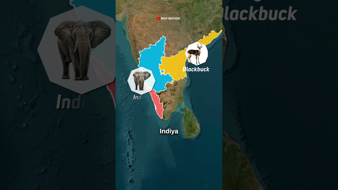 State Animals of South India 🇮🇳🦌🐘