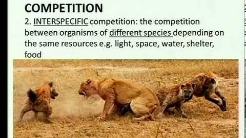 Matric revision: Life Sciences: Community ecology (2/5): Types of interactions (2/5): competition