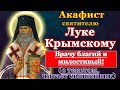 Акафист святителю Луке Крымскому архиепископу и исповеднику (Войно-Ясенецкому), молитва