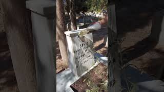 Şehit Mezarı Temizledik Resimi