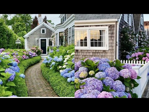 Diy Backyard Garden