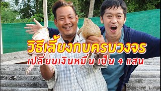 วิธีเลี้ยงกบครบวงจร แบบละเอียด เปลี่ยนเงินหมื่น เป็น 4 แสน | เอิร์ธสดชื่น