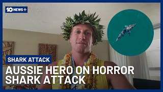 Aussie Shark Hero Reveals What He Learned After Saving Sydney Mum | 10 News+