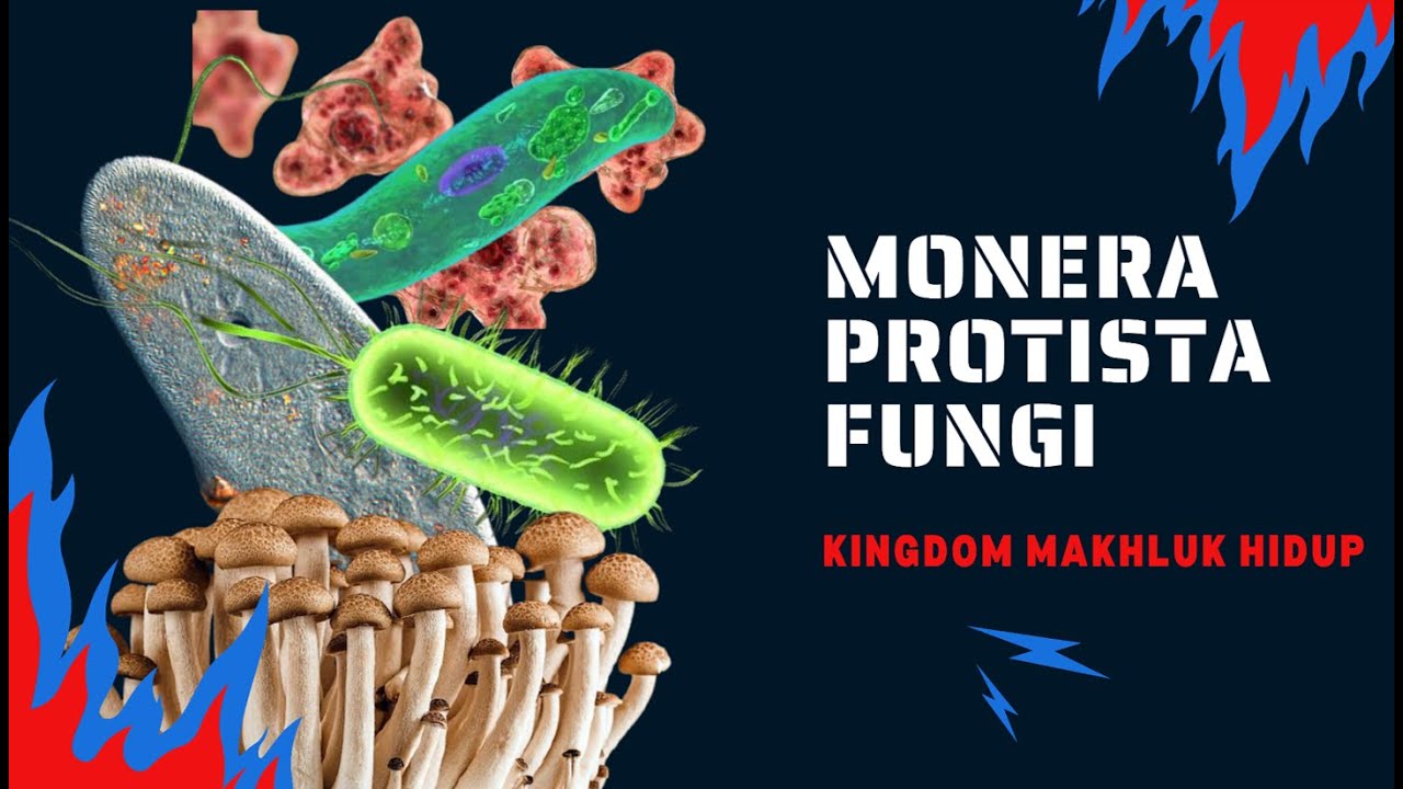 Kingdom Monera, Protista, Fungi