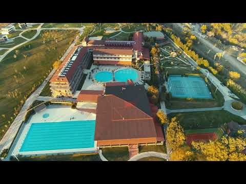 კაჭრეთის ამბასადორი 4K / Ambassador of Kachreti