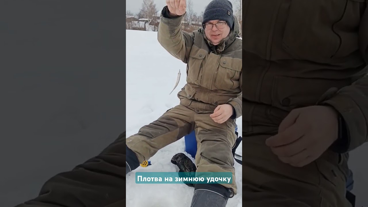 Плотва на удочку зимнюю 